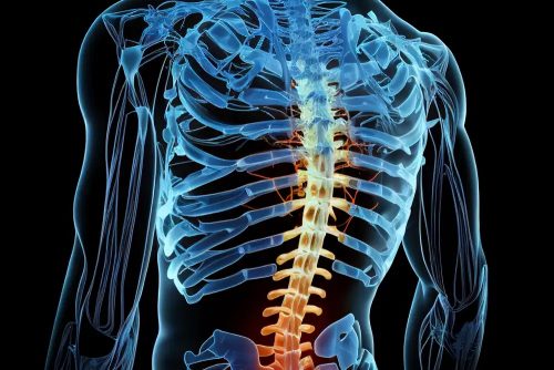 Revolutionizing Back Health: Comprehensive Approaches from a Renowned Back Specialist